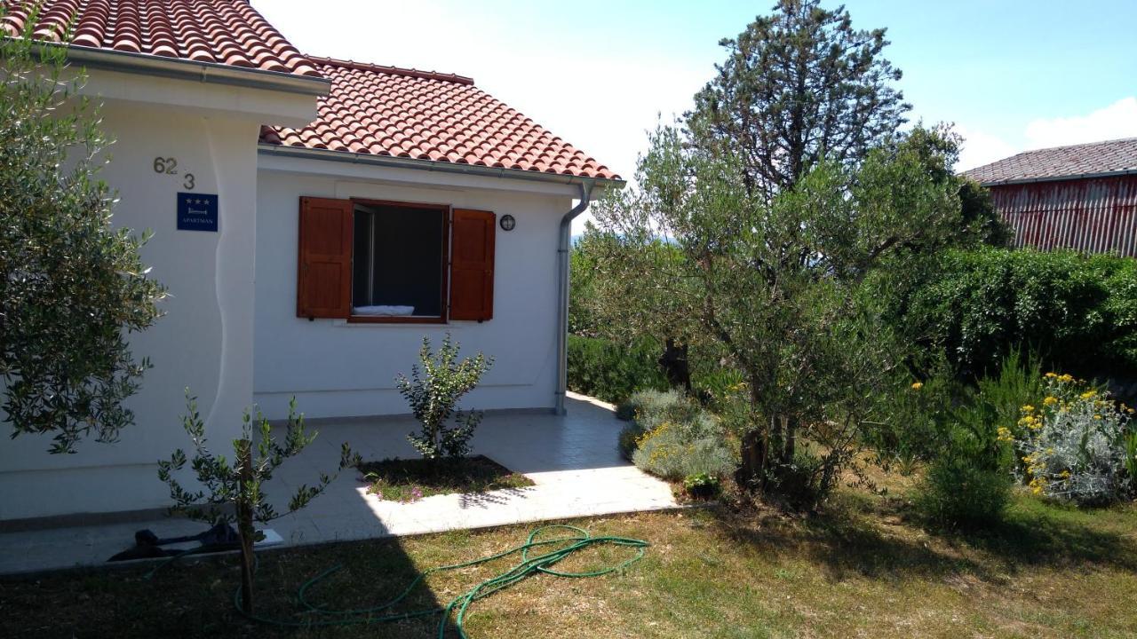 Apartman Ruza Brzac Exterior foto