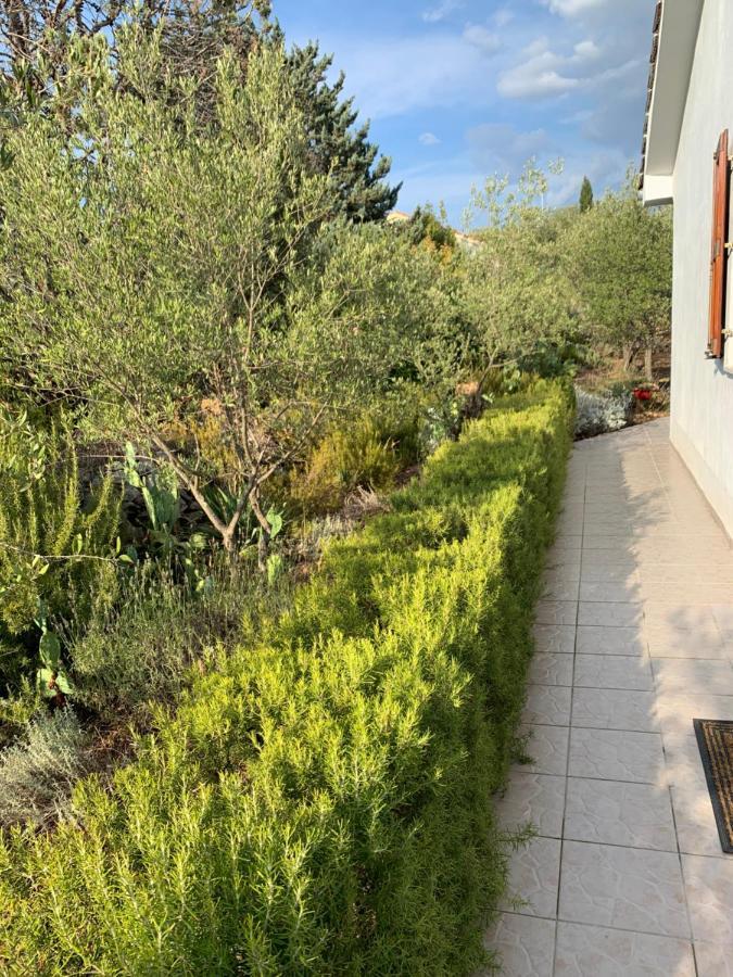 Apartman Ruza Brzac Exterior foto